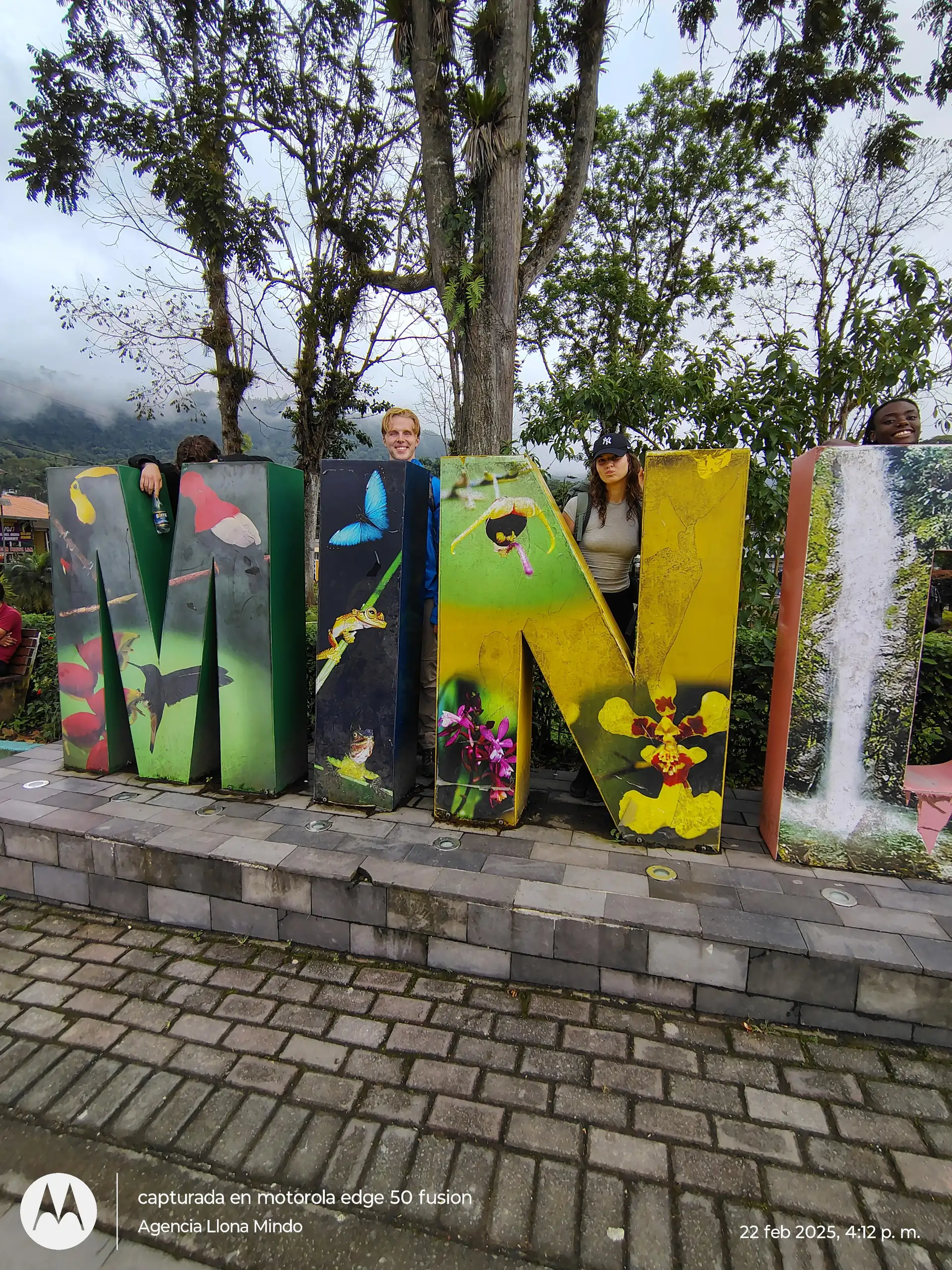 Butterflies: Guided tour with transportation included in Mindo 12fa868dec5a8f36be6fe65680eb9661271b973658de2224980b7f93db0ac9f2