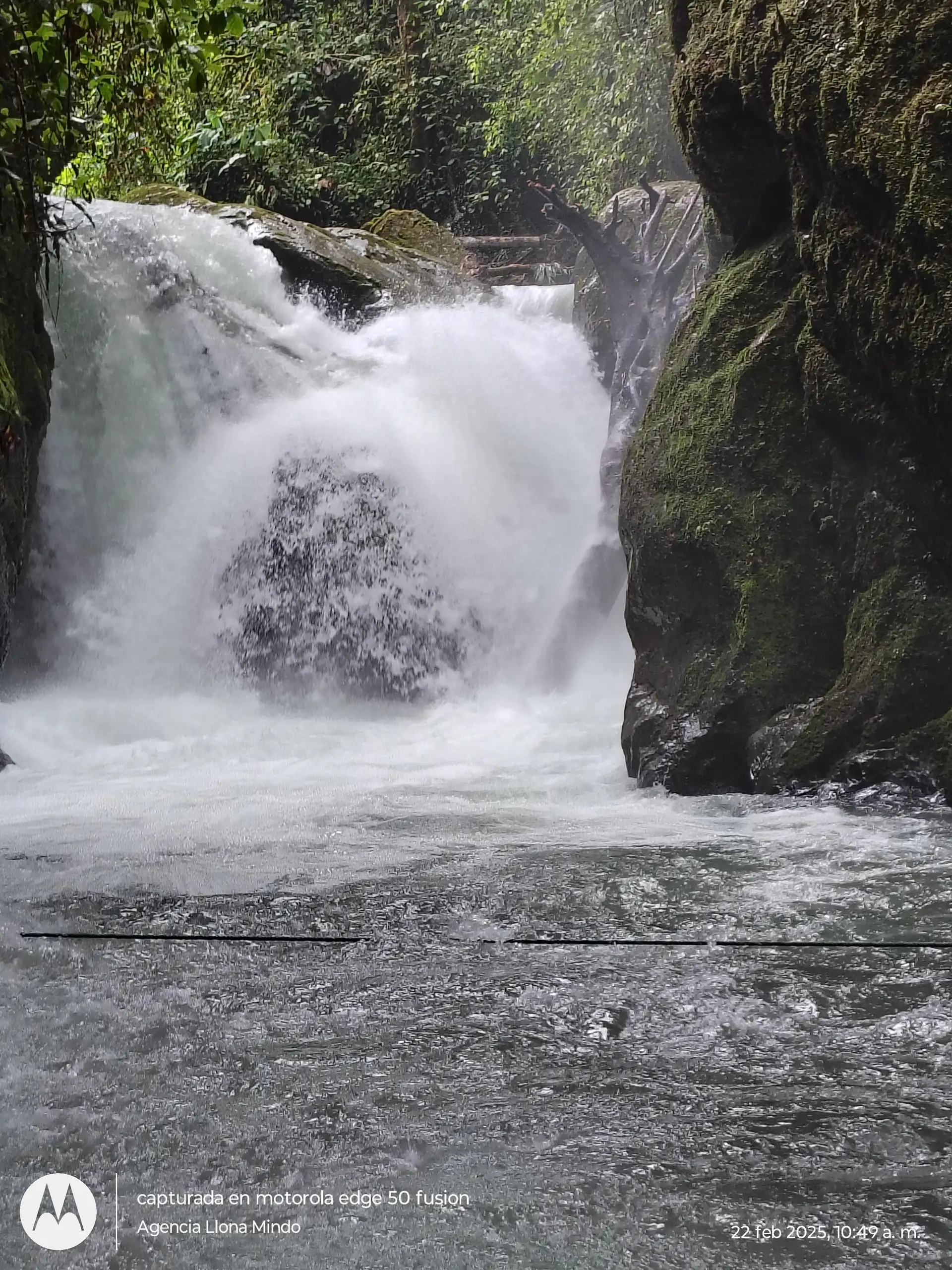 Mindo Waterfalls: Guided Tour with Transportation from Mindo 98a35540afaeeed01ace3feb29927a332c37b36ec999e8ecc3dbb8754d55d7b9